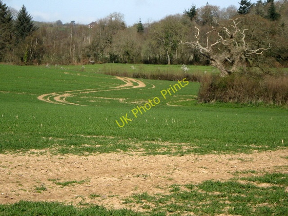 Photo 6"x4" Farm track, Spaxton Spaxton c2009
