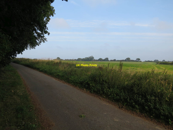 Photo 6"x4" Bacton Road by Verona Plantation Edingthorpe Green c2017