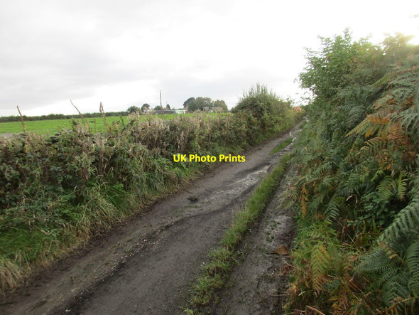 Photo 6"x4" Blackergreen Lane Four Lane End c2017