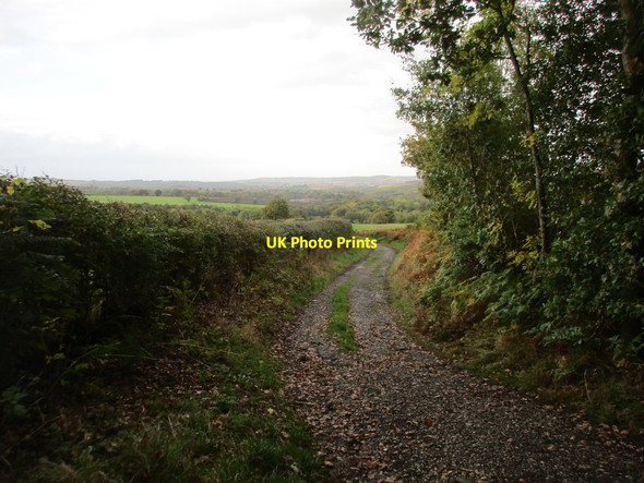 Photo 6"x4" Blackergreen Lane Berry Moor c2017