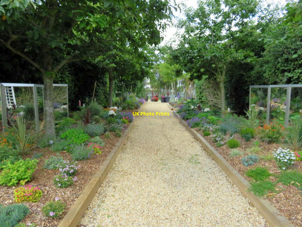 Photo 6"x4" Garden path at Norton Grange Norton\/SZ3489 c2017