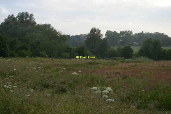 Photo 6"x4" Watermeadows by the Stort, Harlow Temple Fields c2015