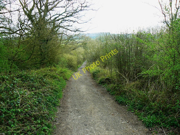 Photo 6"x4" Byway to Ravensroost Wood Minety c2009