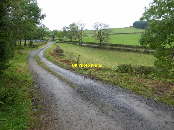 Photo 6"x4" Track by a quarry on Fell Hill Milton\/NX8470 c2017