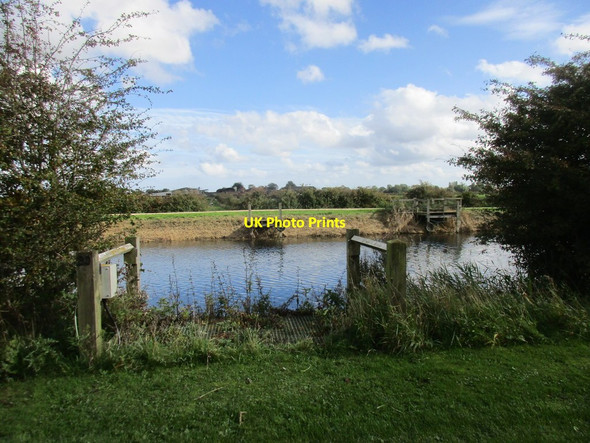 Photo 6"x4" Empty moorings Rotsea c2017