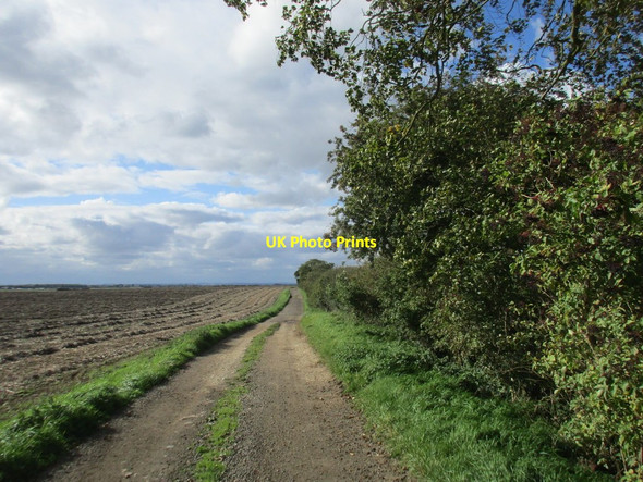 Photo 6"x4" Roadway to Low Baswick Farm Leven\/TA1045 c2017