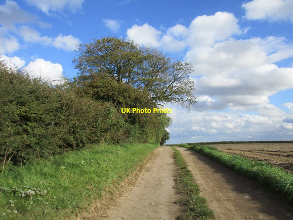 Photo 6"x4" Track to Heigholme Lane Leven\/TA1045 c2017