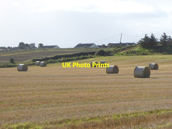Photo 6"x4" Field with bales Clogherhead c2017