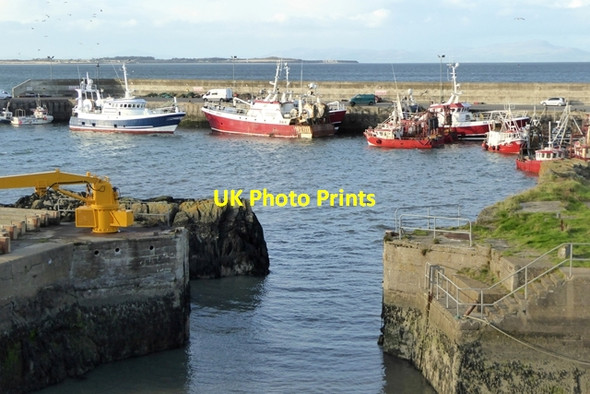 Photo 6"x4" Fishing fleet at Port Oriel Clogherhead c2017 P1