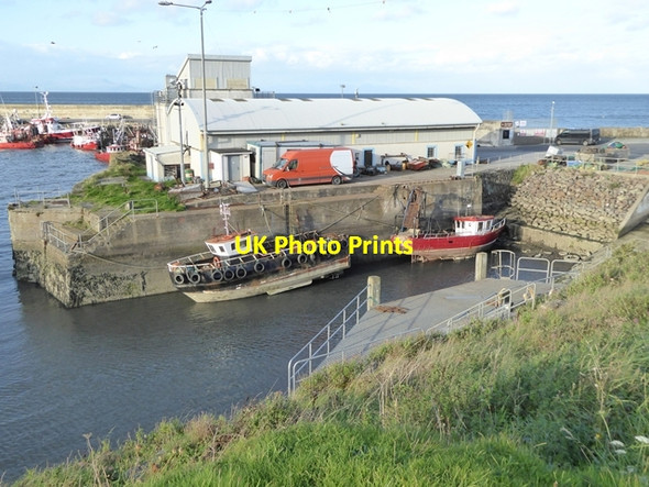 Photo 6"x4" Fish market at Port Oriel Clogherhead c2017