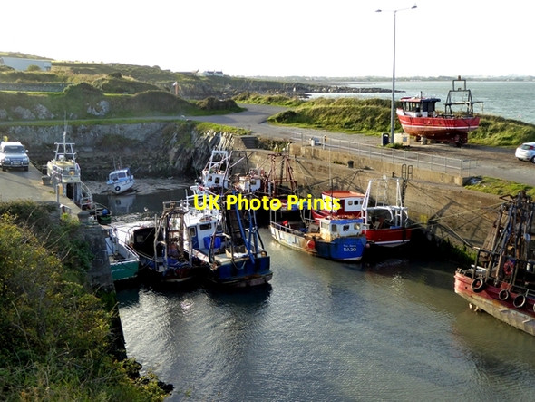 Photo 6"x4" Fishing fleet at Port Oriel Clogherhead c2017
