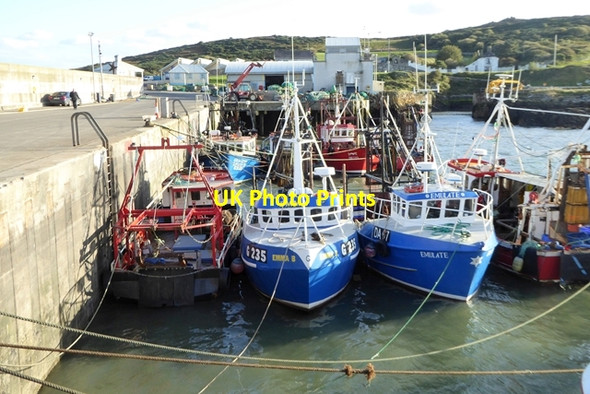 Photo 6"x4" Fishing fleet at Port Oriel Clogherhead c2017 P1