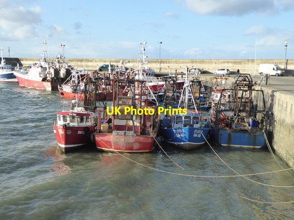 Photo 6"x4" Fishing fleet at Port Oriel Clogherhead c2017 P2