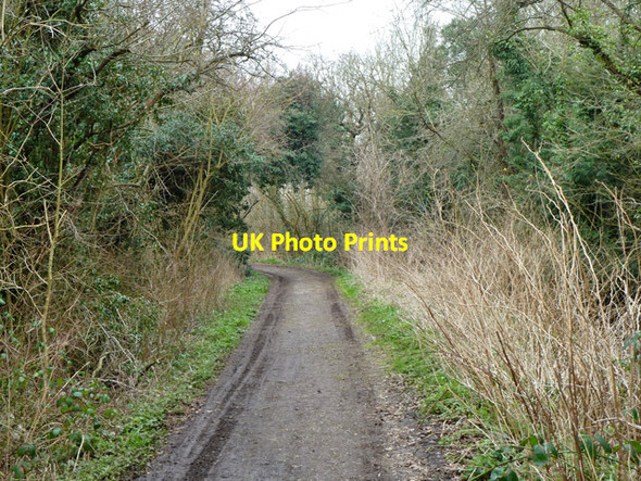 Photo 6"x4" Ashley Lane Hendon\/TQ2389 c2013 P2