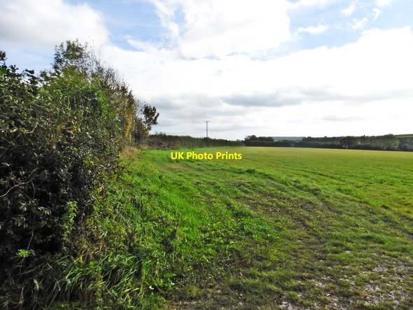 Photo 6"x4" Field on Horseshoe Road Gribb c2017