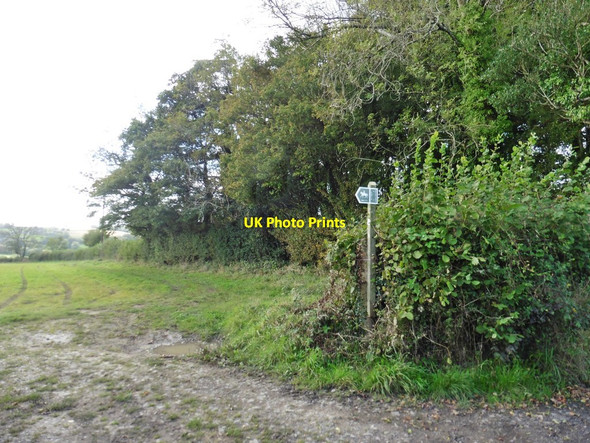 Photo 6"x4" Bridleway to School House Farm Gribb c2017