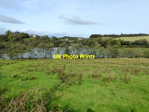 Photo 6"x4" Galbolie Lough Bailieborough c2017