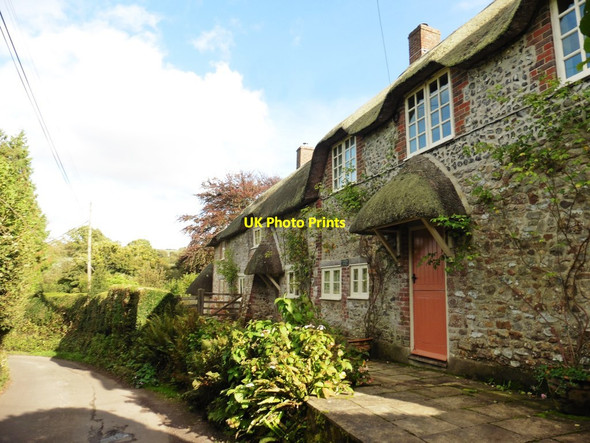 Photo 6"x4" Thatched cottage, Synderford Holway\/ST3803 c2017