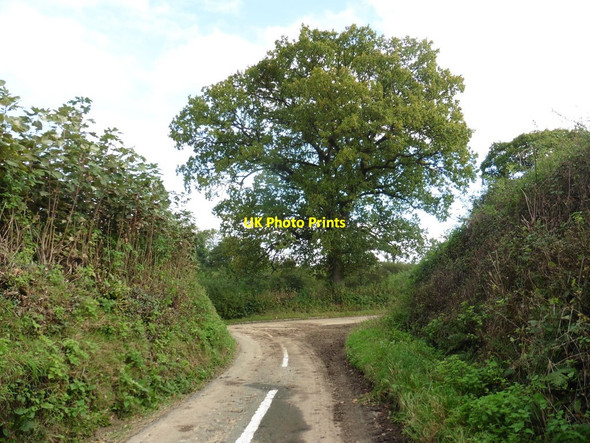 Photo 6"x4" Turning for School Lane Blackdown\/ST3903 c2017