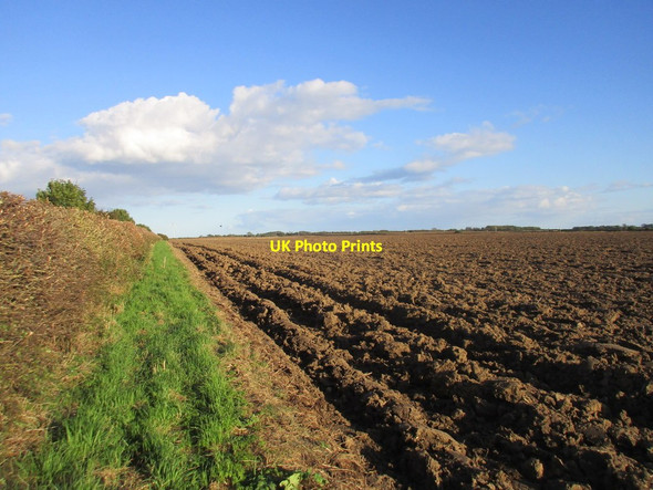 Photo 6"x4" Ploughed field off Dunnington Lane Dunnington\/TA1552 c2017