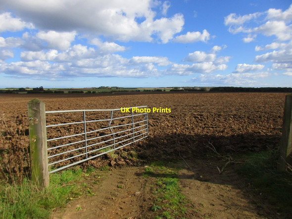 Photo 6"x4" Gate and ploughed field Dringhoe c2017