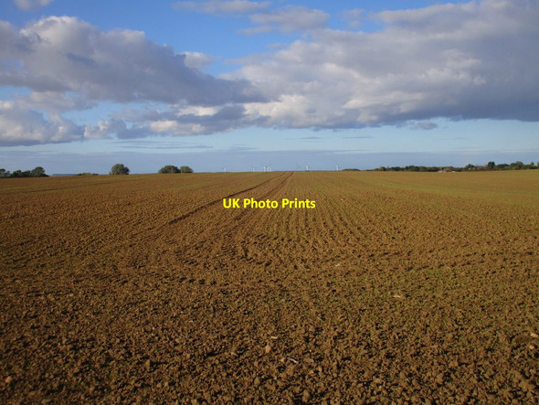 Photo 6"x4" Prepared field, Dringhoe Dringhoe c2017