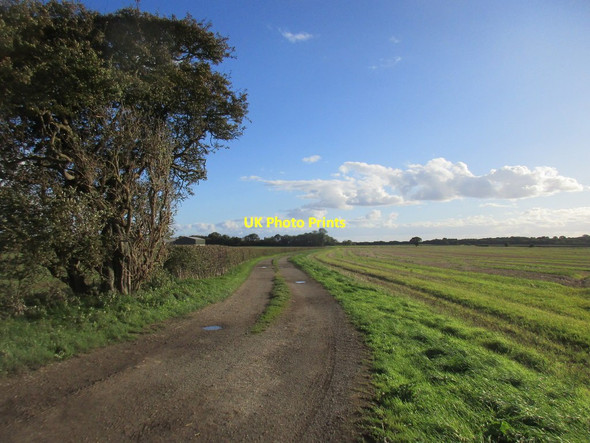 Photo 6"x4" Barbriggs Lane Upton\/TA1454 c2017