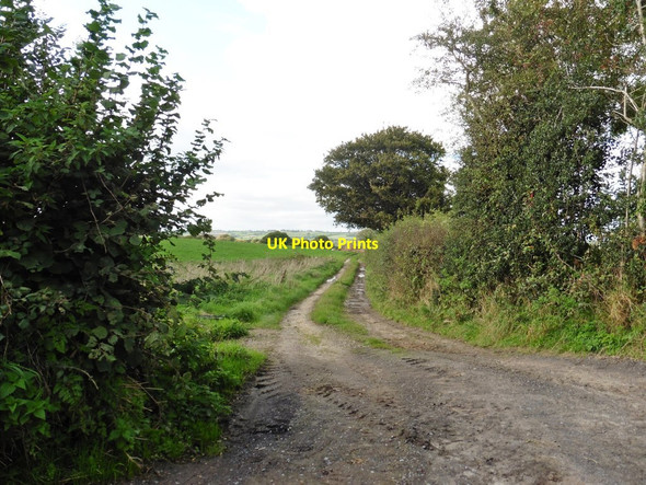 Photo 6"x4" Farm track Drimpton c2017