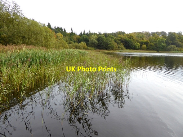 Photo 6"x4" Northern end of Castle Lough Drumeague c2017