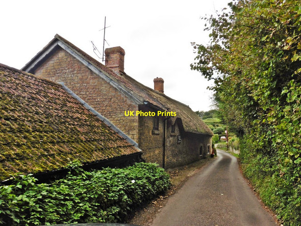 Photo 6"x4" Thatched cottage, Wayford Wayford c2017