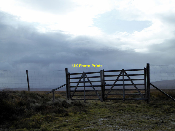 Photo 6"x4" The gate in the deer fence by Cnoc Seasaimh Cnoc Seasaimh c2017