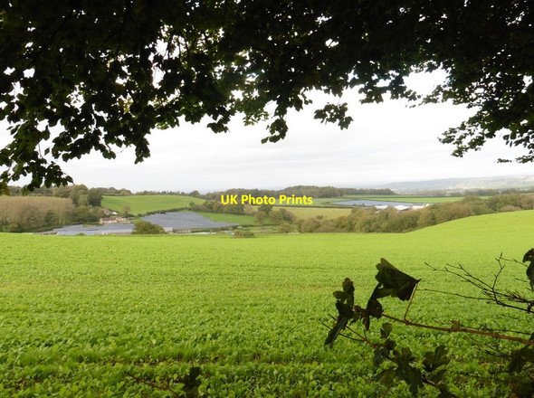 Photo 6"x4" View towards Coombe solar farms Coombe\/ST4009 c2017