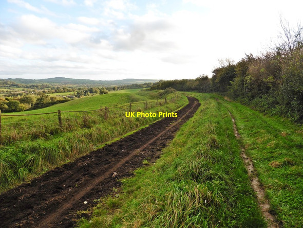 Photo 6"x4" Track to Woolminstone Coombe\/ST4009 c2017
