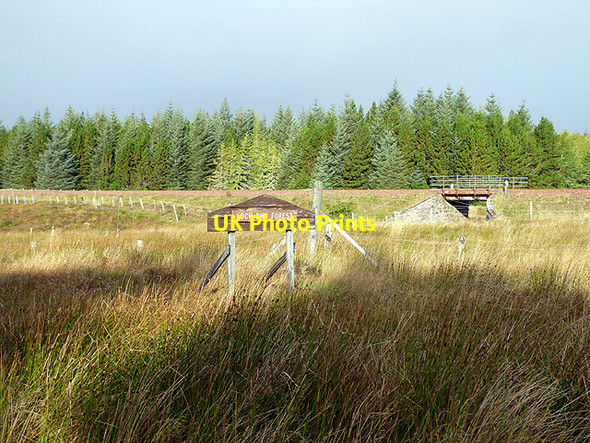 Photo 6"x4" Entering Loch Dhu Forest Cnoc Beul na Faire c2017