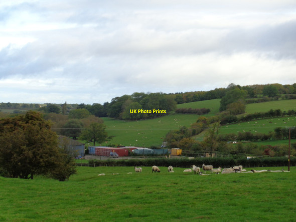 Photo 6"x4" Court Farm and Windy Ridge, Upton Snodsbury Broughton Hackett c2017