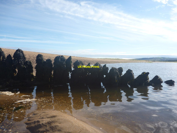 Photo 6"x4" Coastal East Lothian : Hellhounds West Barns c2017