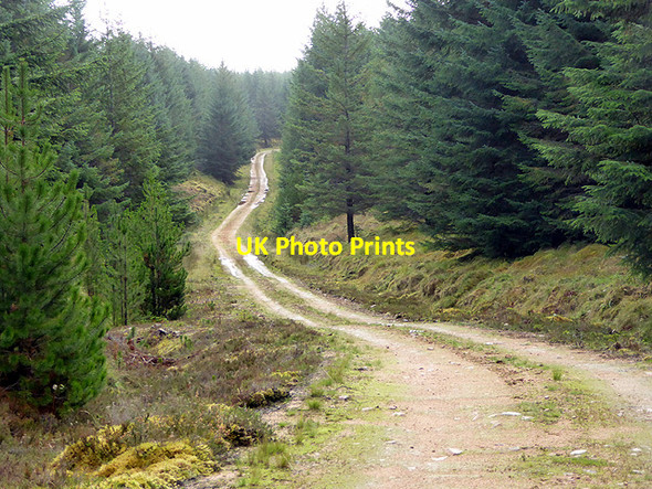 Photo 6"x4" Forest road in Loch Dhu Forest Cnoc a' Gharbh-loch c2017