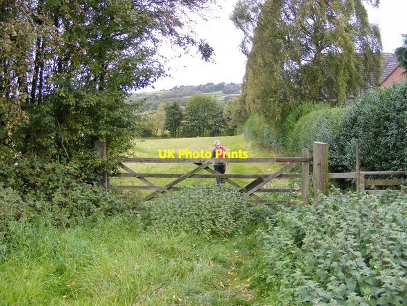 Photo 6"x4" Gospel End Path Sedgley c2017