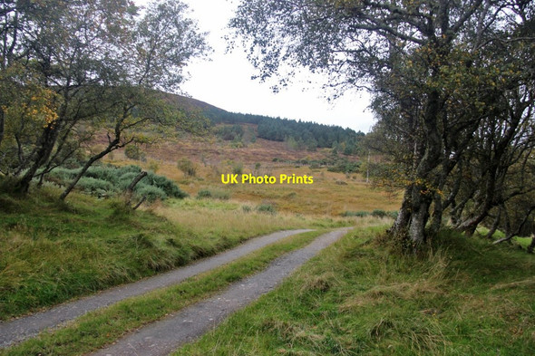 Photo 6"x4" Track to Rhian Cottage Hysbackie c2017