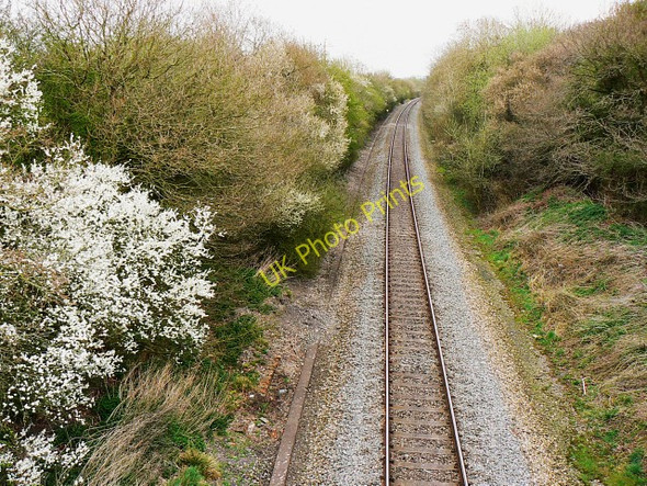 Photo 6"x4" The railway to Swindon from Gloucester Purton Common c2009