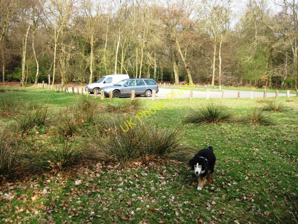 Photo 6"x4" Roadside Car Park, Ashridge (near Aldbury) Aldbury c2009