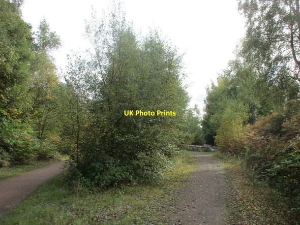Photo 6"x4" Former railway junction Rainworth c2017
