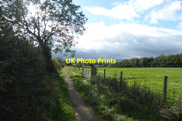 Photo 6"x4" Path to Crag Lane Harrogate c2017