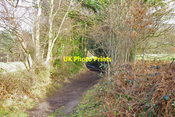 Photo 6"x4" Mill Lane Dormansland c2010