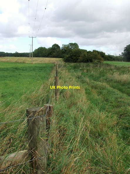 Photo 6"x4" Barbed Wire Fence Didlington\/TL7797 c2017