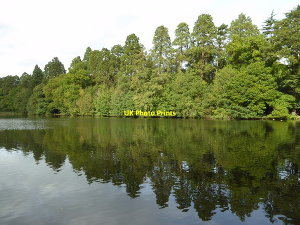Photo 6"x4" Trees reflected in the lake at Tredegar Park Duffryn\/ST2985 c2017