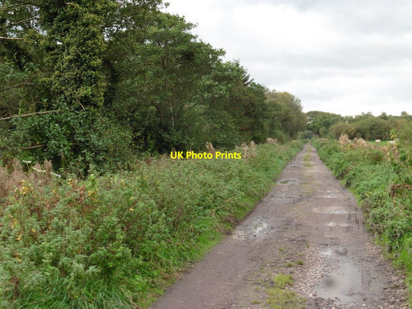 Photo 6"x4" London Drove Bagley\/ST4545 c2017