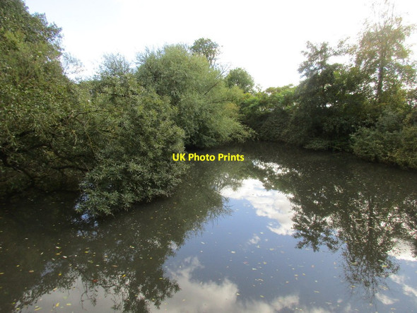 Photo 6"x4" Pond at West End, Ulrome Ulrome c2017