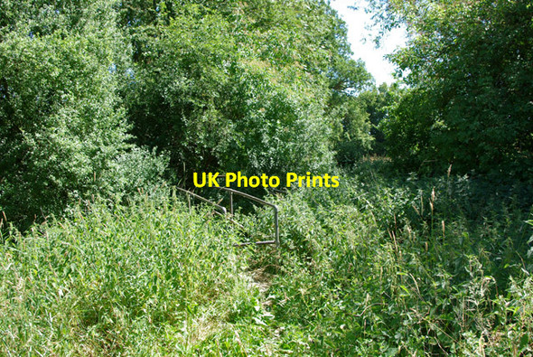 Photo 6"x4" Footbridge near Denshot Farm Leigh\/TQ2246 c2010