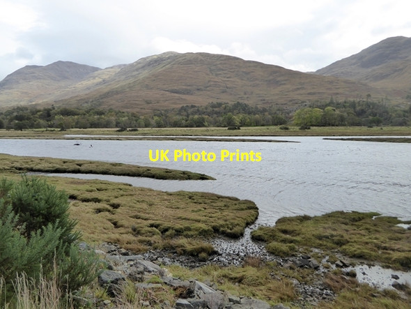 Photo 6"x4" Head of Loch Creran Fasnacloich c2017